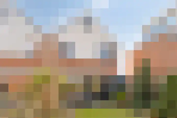 de Ganzeboom 145 Schalkhaar thumbnail 29