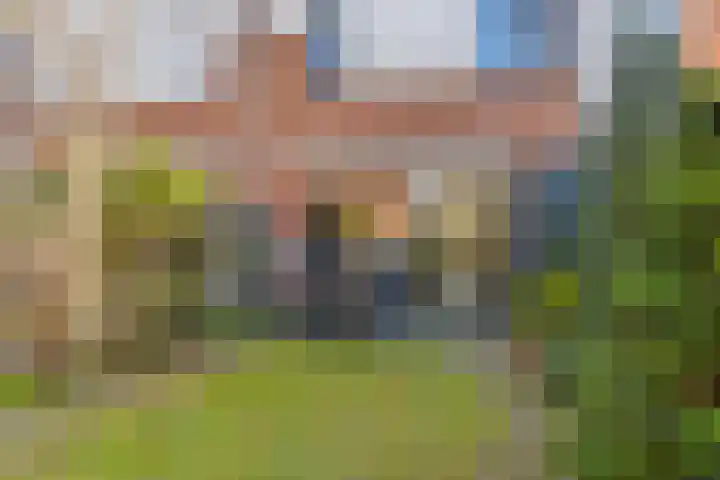 de Ganzeboom 145 Schalkhaar thumbnail 30