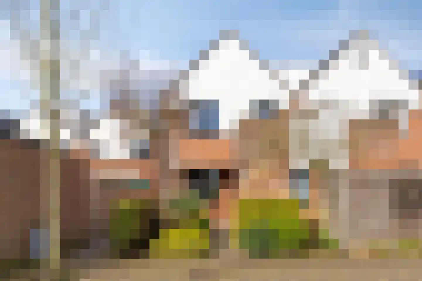 de Ganzeboom 145 Schalkhaar thumbnail 32