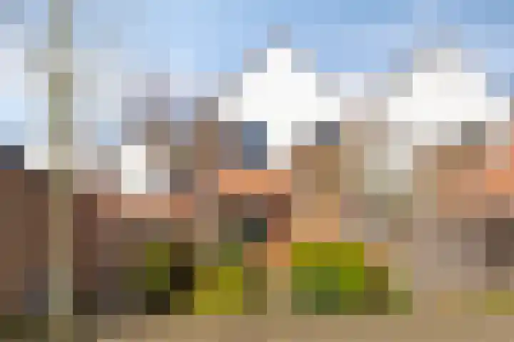 de Ganzeboom 145 Schalkhaar thumbnail 32