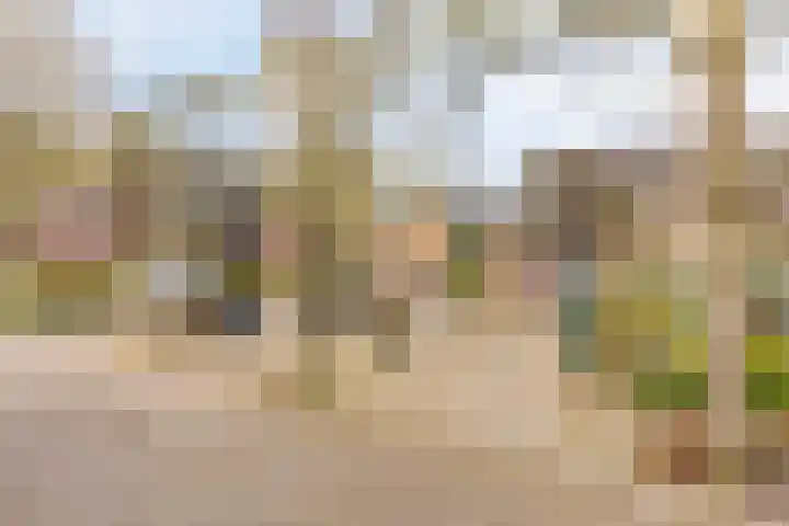 de Ganzeboom 145 Schalkhaar thumbnail 33