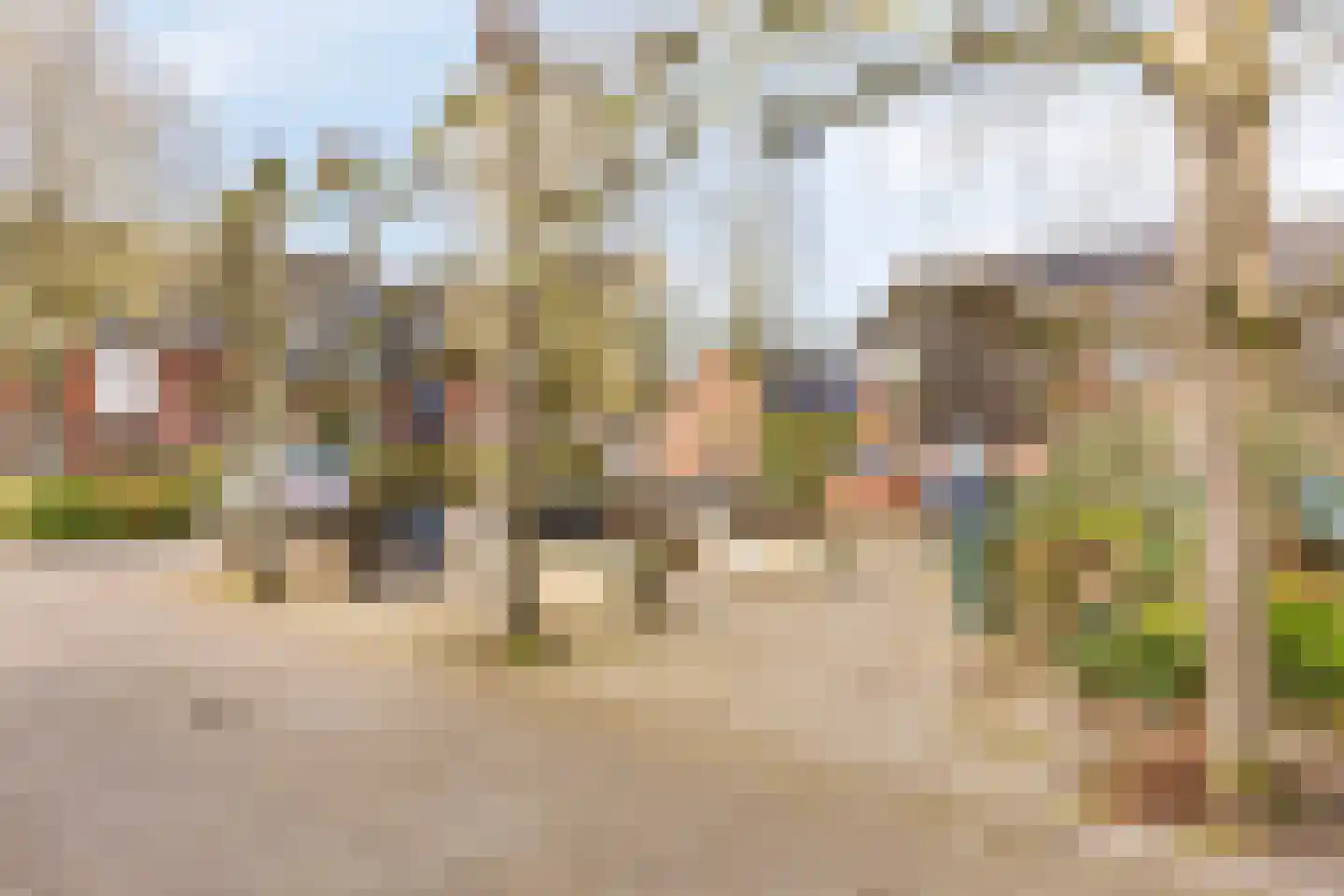 de Ganzeboom 145 Schalkhaar thumbnail 33