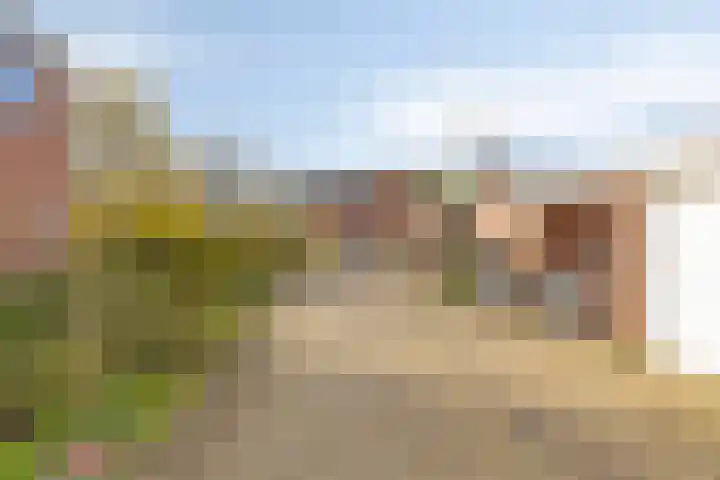 de Ganzeboom 145 Schalkhaar thumbnail 34