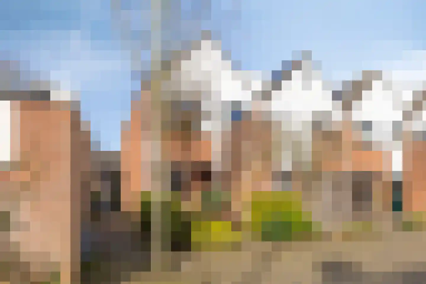 de Ganzeboom 145 Schalkhaar thumbnail 38