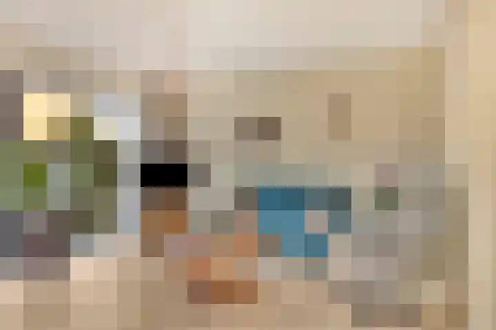 de Ganzeboom 145 Schalkhaar thumbnail 6