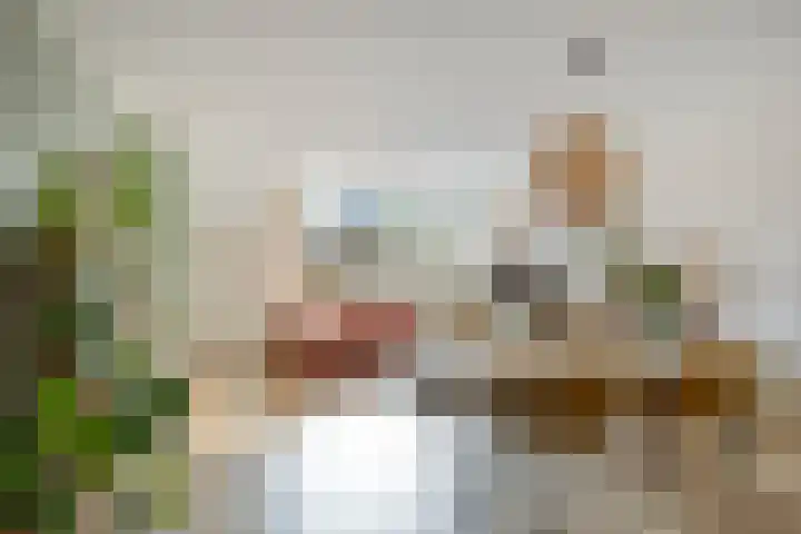 de Ganzeboom 159 Schalkhaar thumbnail 19