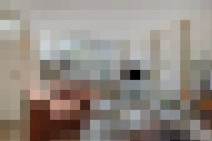 de Ganzeboom 159 Schalkhaar thumbnail 20