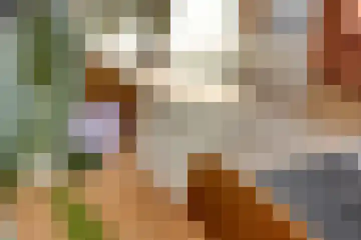 de Ganzeboom 159 Schalkhaar thumbnail 31