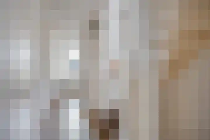 de Ganzeboom 159 Schalkhaar thumbnail 33
