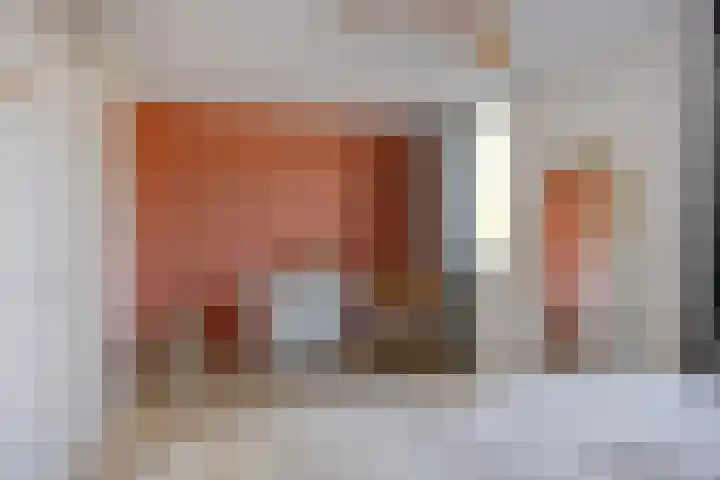 de Ganzeboom 159 Schalkhaar thumbnail 36