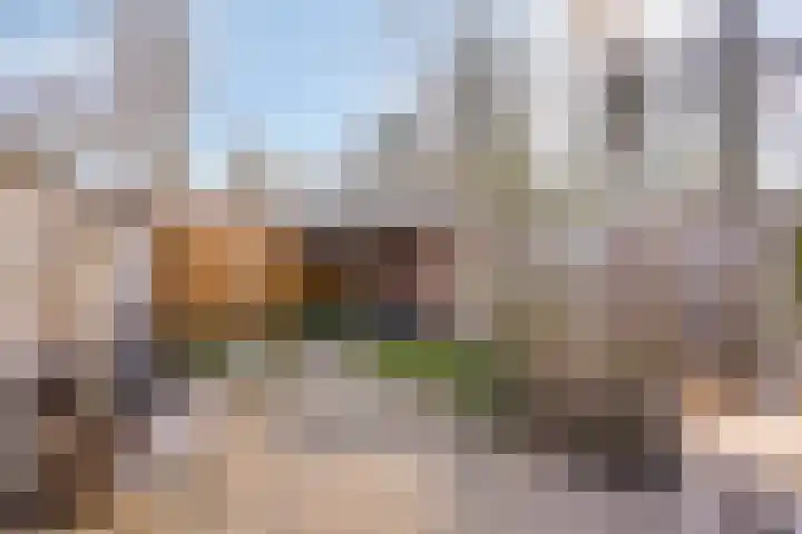 de Ganzeboom 159 Schalkhaar thumbnail 49