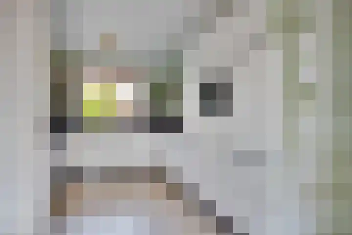 de Ganzeboom 159 Schalkhaar thumbnail 5