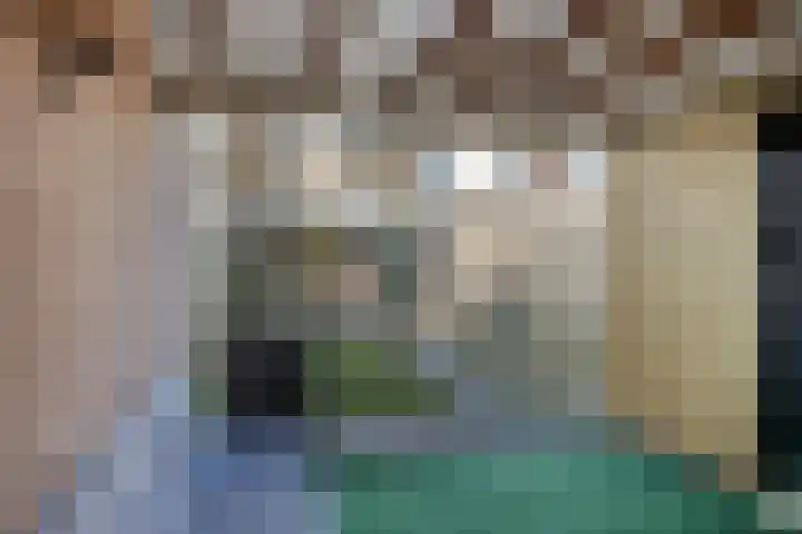 de Ganzeboom 159 Schalkhaar thumbnail 53