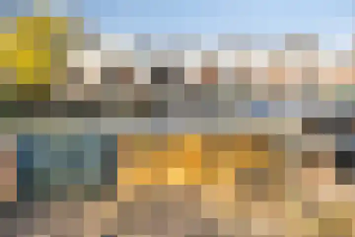 de Ganzeboom 159 Schalkhaar thumbnail 59