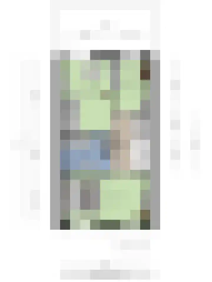 de Ganzeboom 159 Schalkhaar thumbnail 62