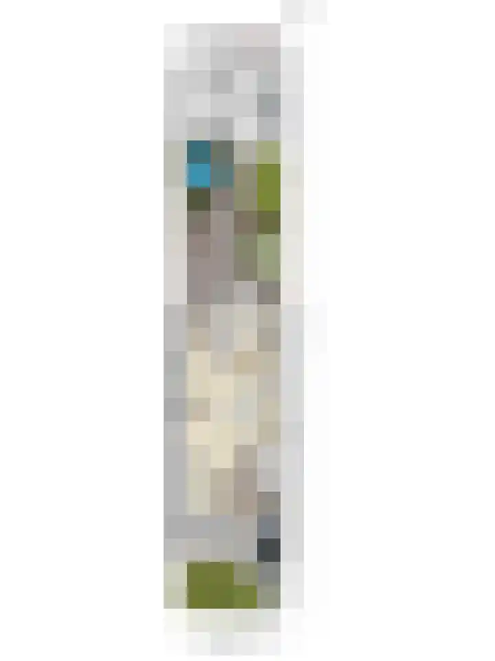 de Ganzeboom 159 Schalkhaar thumbnail 64