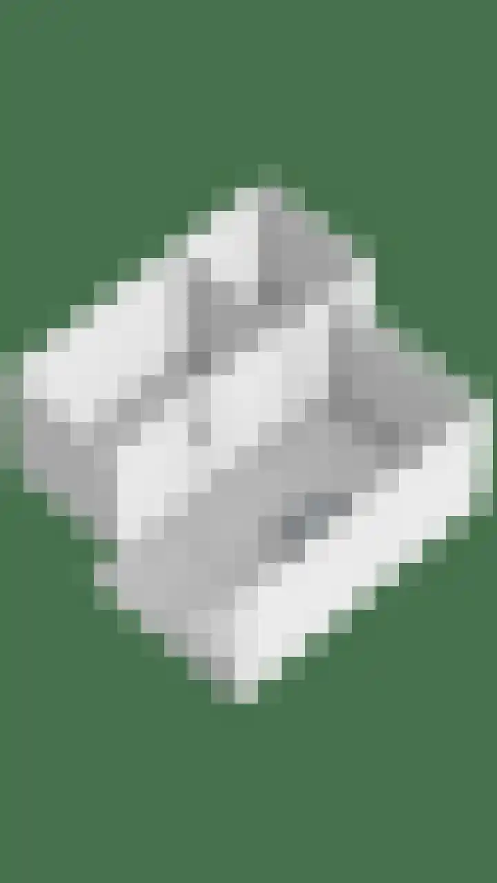 de Ganzeboom 159 Schalkhaar thumbnail 69