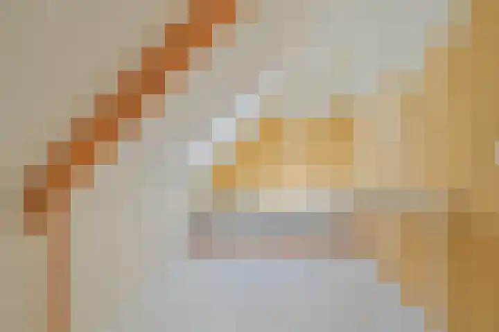 de Ganzeboom 214 Schalkhaar thumbnail 20