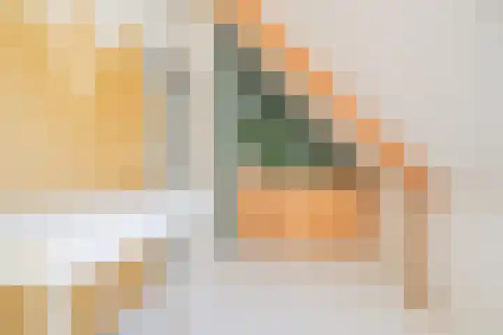 de Ganzeboom 214 Schalkhaar thumbnail 21