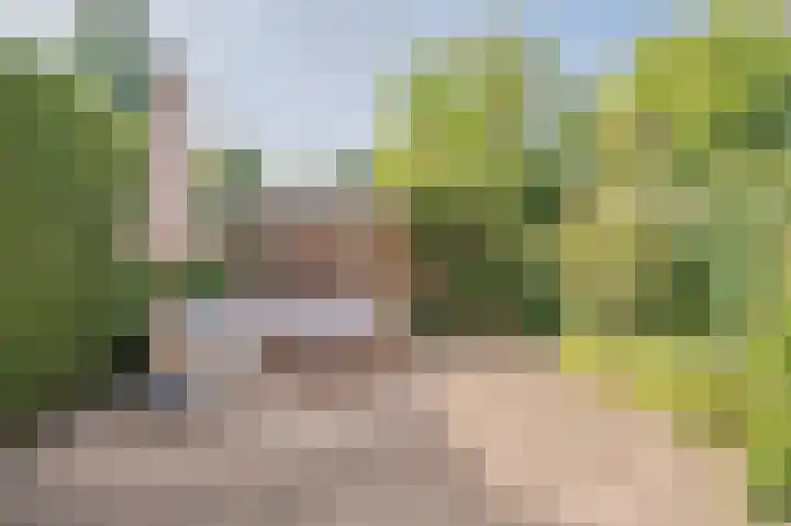 de Ganzeboom 214 Schalkhaar thumbnail 23