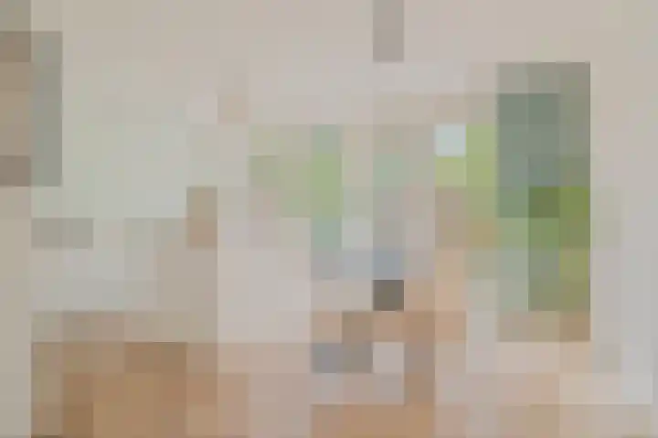 de Ganzeboom 214 Schalkhaar thumbnail 5