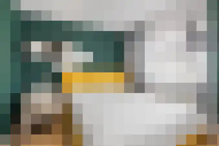 De Ganzenhof 20 Ophemert thumbnail 11