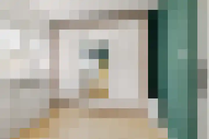 De Ganzenhof 20 Ophemert thumbnail 12