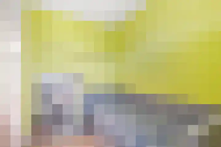 De Ganzenhof 20 Ophemert thumbnail 15