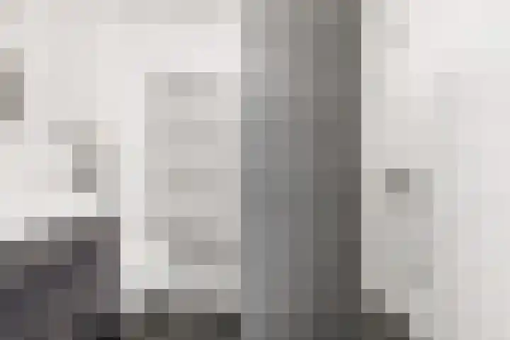 De Ganzenhof 20 Ophemert thumbnail 17