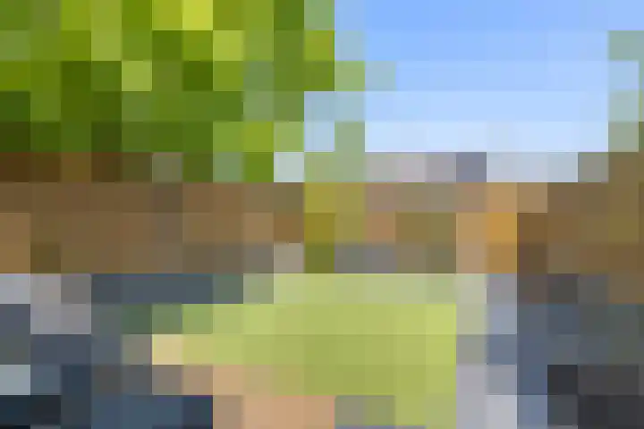 De Ganzenhof 20 Ophemert thumbnail 22