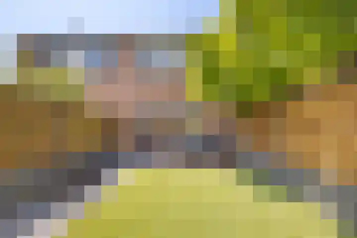 De Ganzenhof 20 Ophemert thumbnail 23
