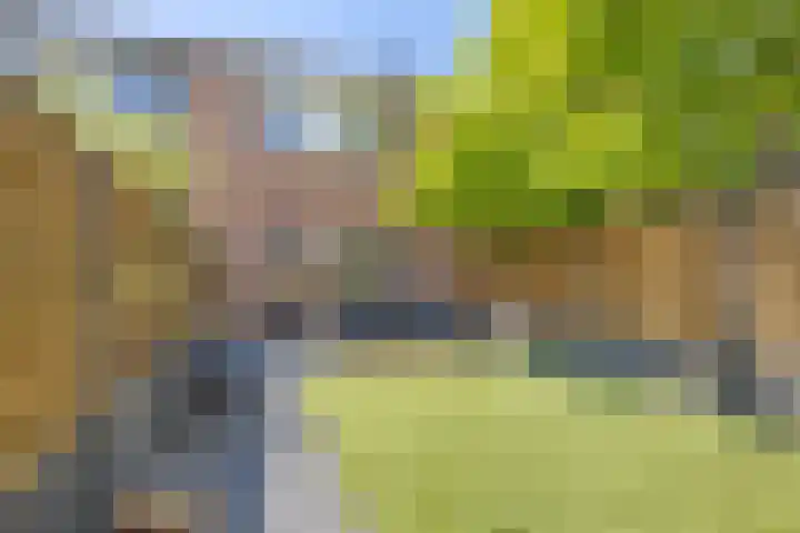 De Ganzenhof 20 Ophemert thumbnail 24