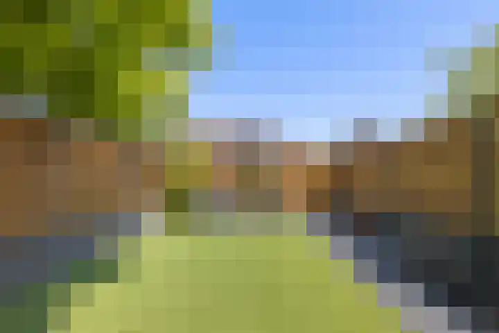De Ganzenhof 20 Ophemert thumbnail 25