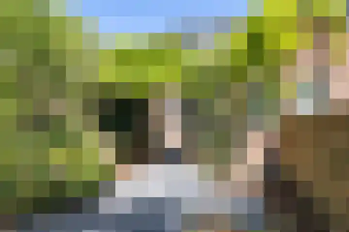 De Ganzenhof 20 Ophemert thumbnail 27