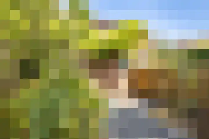 De Ganzenhof 20 Ophemert thumbnail 28