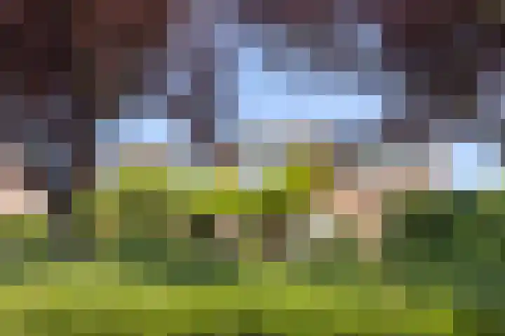 De Ganzenhof 20 Ophemert thumbnail 29