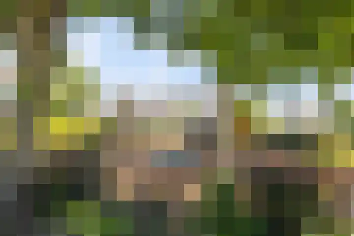 De Ganzenhof 20 Ophemert thumbnail 30
