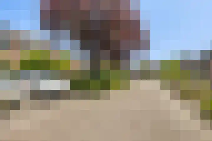 De Ganzenhof 20 Ophemert thumbnail 31