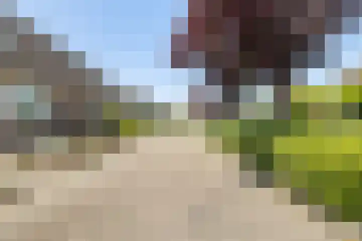 De Ganzenhof 20 Ophemert thumbnail 32
