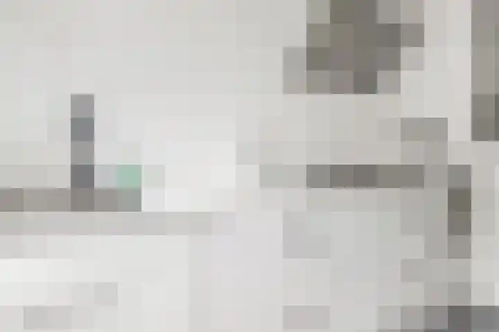 De Ganzenhof 20 Ophemert thumbnail 5