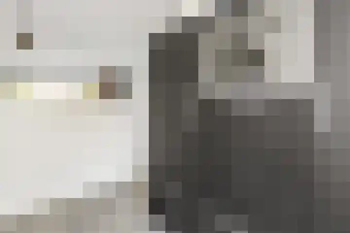 De Ganzenhof 20 Ophemert thumbnail 8