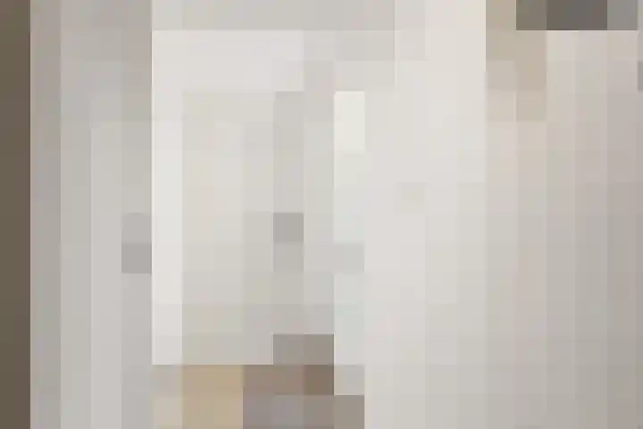 De Ganzenhof 20 Ophemert thumbnail 9