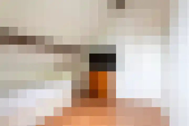 De Ganzenhof 51 Ophemert thumbnail 23