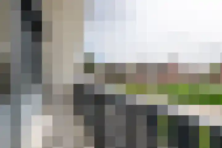 De Ganzenhof 51 Ophemert thumbnail 29