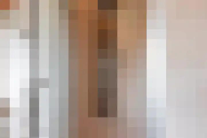 De Ganzenhof 51 Ophemert thumbnail 31