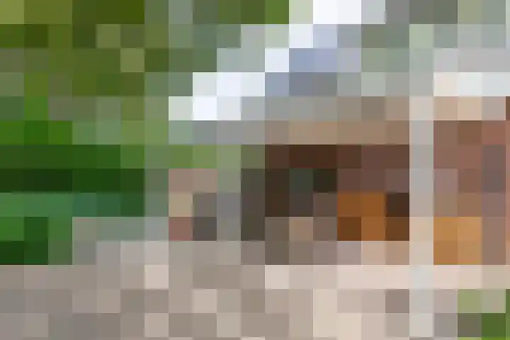 De Ganzenhof 51 Ophemert thumbnail 34