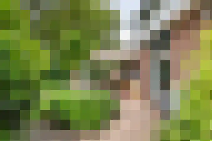 De Ganzenhof 51 Ophemert thumbnail 35