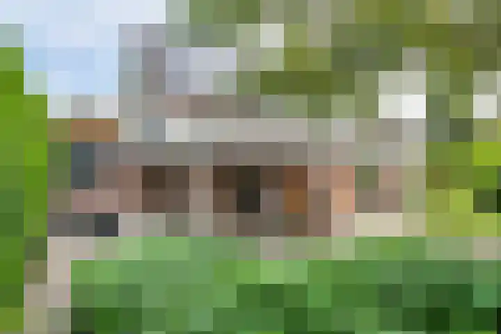 De Ganzenhof 51 Ophemert thumbnail 37