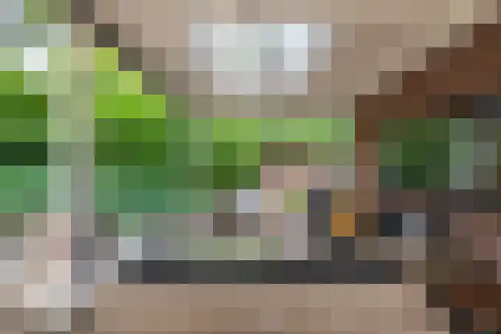 De Ganzenhof 51 Ophemert thumbnail 38
