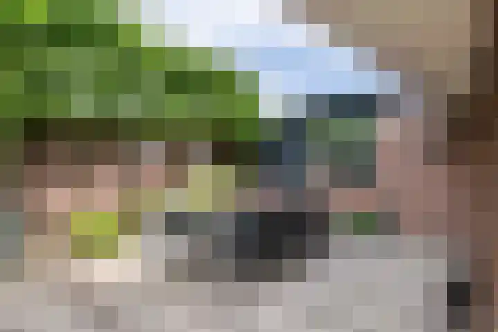 De Ganzenhof 51 Ophemert thumbnail 39